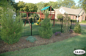 Aluminum Fence back yard