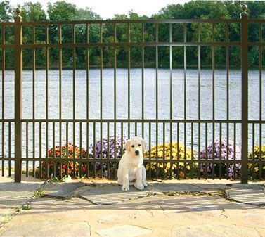 Jerith Safety Pup Fence